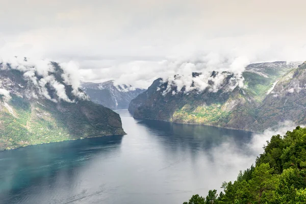 stock image View of the fjord of Aurland in Norway