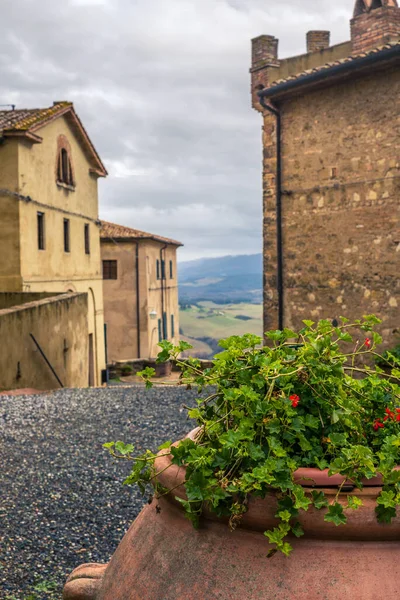 Traditionele Geraniumbloemen Het Dorp Meieval Toscane — Stockfoto
