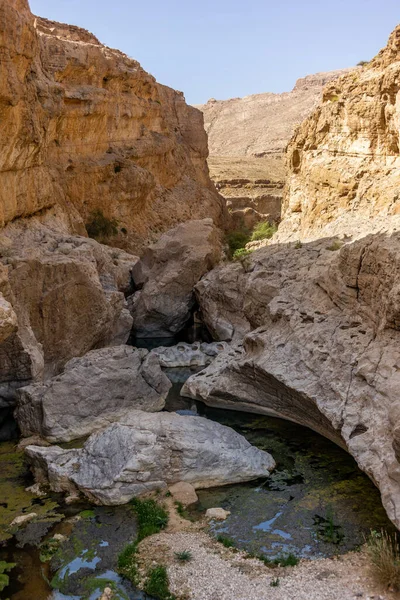 Fluxo Água Deserto Rochoso Omã Fluindo Cânion Para Oásis Wadi — Fotografia de Stock