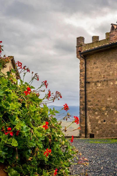 Traditionele Geraniumbloemen Het Dorp Meieval Toscane — Stockfoto