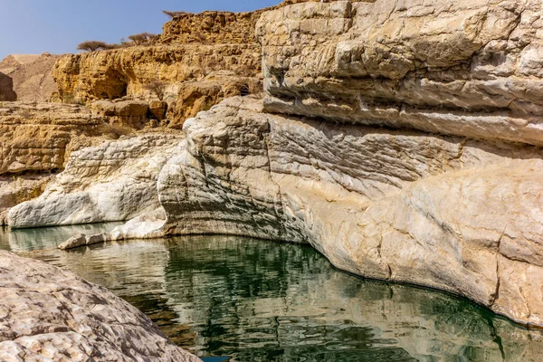 Corriente Agua Desierto Rocoso Omán Que Fluye Cañón Hacia Oasis —  Fotos de Stock