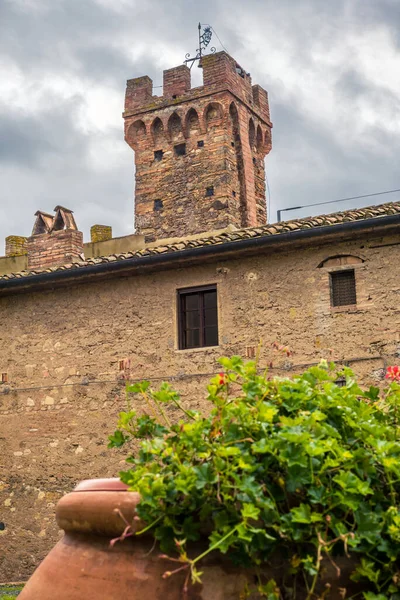 Flores Tradicionales Geranio Pueblo Medieval Toscana —  Fotos de Stock