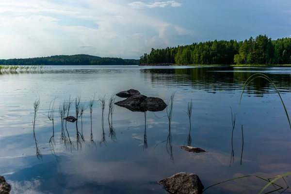 Het Rustige Wilde Bos Aan Oever Van Het Saimaa Meer — Stockfoto