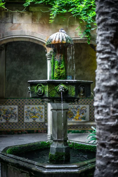 Yaz boyunca Barselona 'da yosun kaplı sokak çeşmesinin ayrıntıları