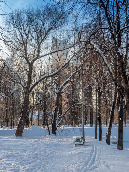 Park in the snow in Moscow