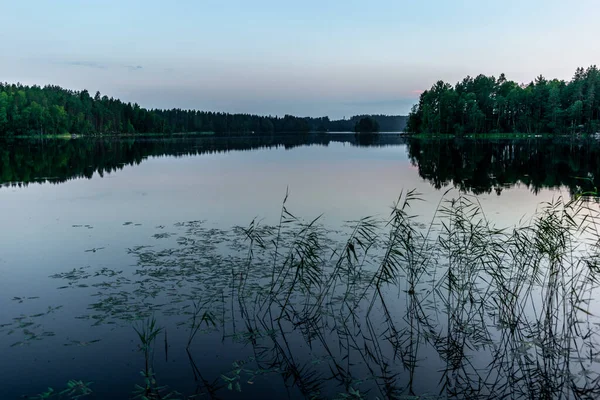 Solnedgång Vid Stranden Den Lugna Sjön Saimen Kolovesi Nationalpark Finland — Stockfoto