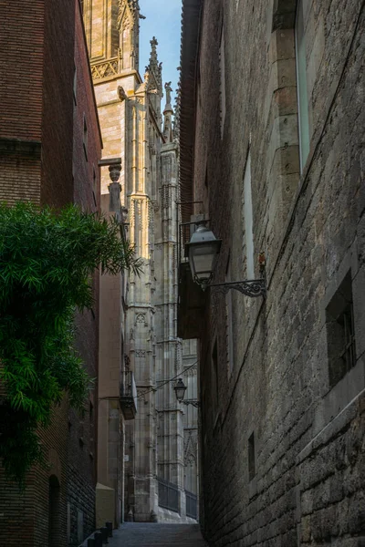 Ruhige Enge Straße Gotischen Viertel Von Barcelona Morgen — Stockfoto