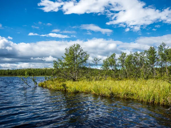 Rondane Ulusal Parkı 'ndaki Norveç gölünün kıyısında kanodan görüldü.