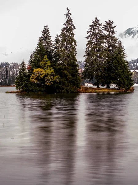 Bäume Schweizer See Herbst — Stockfoto