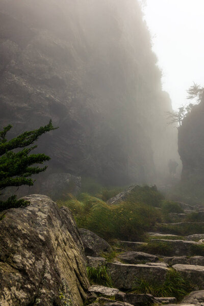 Проходя по скальному ущелью с крутыми стенами во время похода на Столовую гору Кейптауна
