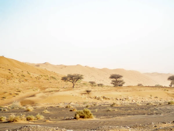 Die Dünen Der Wahiba Sandwüste Bei Sonnenuntergang Während Eines Typischen — Stockfoto