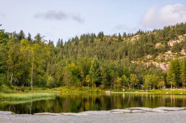 Bergen 'deki Floyen dağının tepesinde sonbahar renkleri