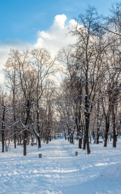 Moskova 'da karda park et.