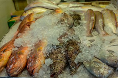 Çin 'deki Singapur sulak pazarında renkli taze balık yığını.