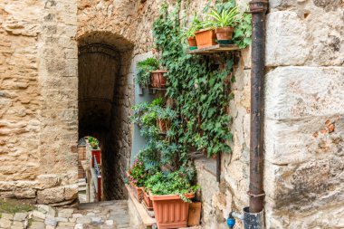 Tuscany 'nin ortaçağ şehri Campiglia Marittima' da renkli dar bir sokak.