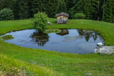 İsviçre 'nin Graubunden kantonundaki Tschappina' da küçük bir göl kenarında ahşap bir kulübe.