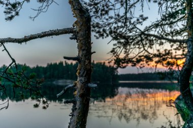Finlandiya 'daki Kolovesi Ulusal Parkı' nda Saimaa gölünün sakin kıyılarında gün batımı