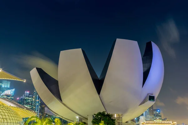 Singapur Singapur Octubre 2016 Vista Del Museo Ciencias Del Arte — Foto de Stock