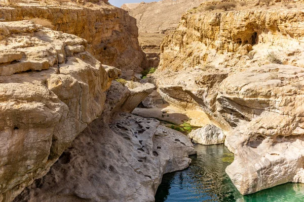Струмок Води Скелястій Пустелі Оман Тече Каньйоні Оази Ваді Бані — стокове фото