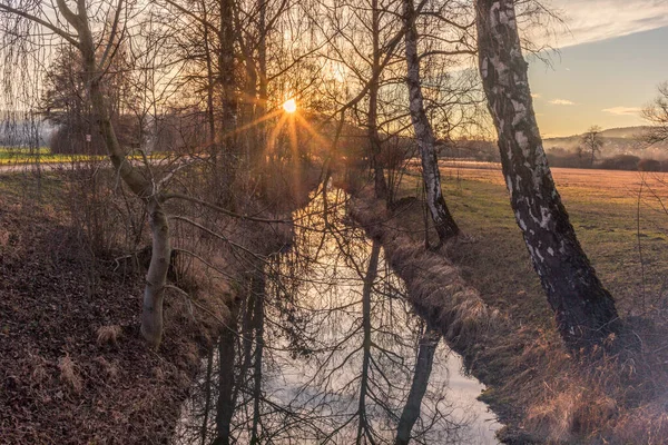 Árvores Reflexões Pequeno Lago — Fotografia de Stock