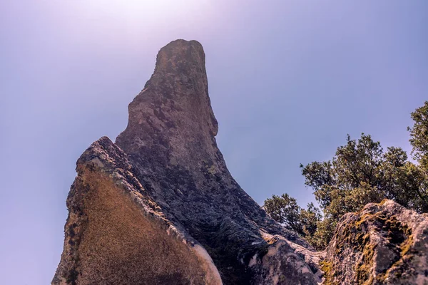 Animal Shaped Strange Rock Formations Corsica — Stock Photo, Image