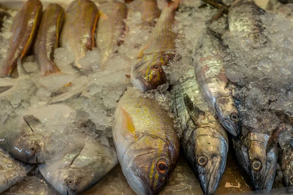 Tas Poissons Frais Colorés Sur Marché Humide Singapour China Town — Photo