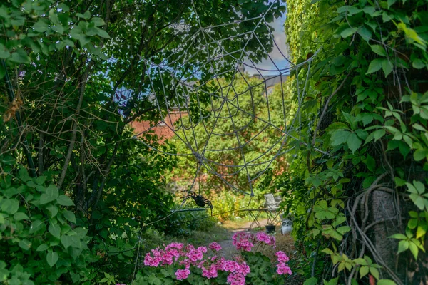 Zabawka Pająk Sieć Ogrodzie Wyspie Suomenlinna Finlandii — Zdjęcie stockowe