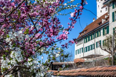 Renkli çiçeklerle dolu bahar İsviçre 'nin Thun kasabasına geliyor. 