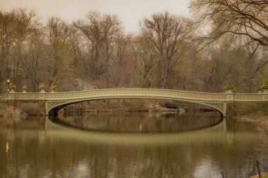 Baharda New York 'ta Central Park' ta sessiz bir köprü