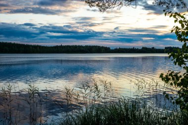 Finlandiya 'daki Linnansaari Ulusal Parkı' nda Saimaa gölünün sakin kıyılarında gün batımı 