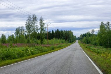 Finlandiya 'da uzun bir akşam boyunca boş bir yol