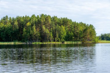 Finlandiya 'daki Linnansaari Ulusal Parkı' nda Saimaa Gölü kıyısında sakin bir gün.  