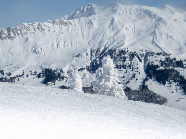 Árboles Cubiertos Nieve Blanca Justo Después Una Nevada Los Alpes —  Fotos de Stock