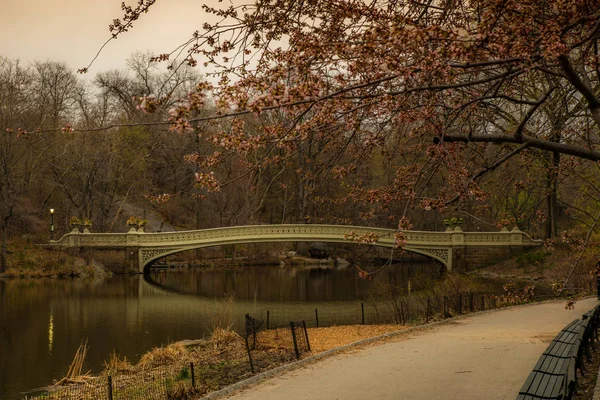 Baharda New York 'ta Central Park' ta sessiz bir köprü