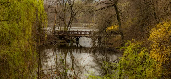 Puente Tranquilo Central Park Nueva York Primavera — Foto de Stock