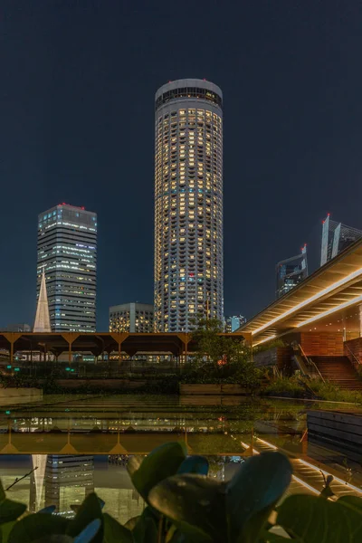 Skyline Singapur Reflejándose Estanque Agua Por Noche — Foto de Stock