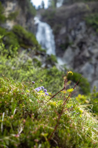 View Waterfall Lenzerheide Swiss Alps Sunny Spring Day — Stock Photo, Image
