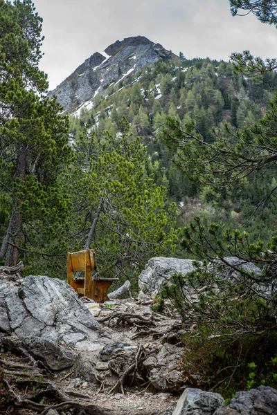 Banco Floresta Lenzerheide Nos Alpes Suíços Verão — Fotografia de Stock