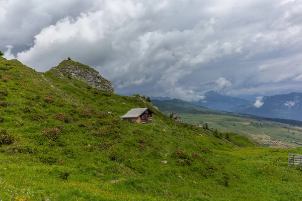 Die Wiesen Der Alpen Der Schweiz Sommer — Stockfoto
