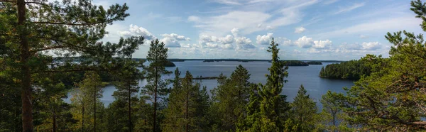 Cichy Las Samotne Drzewa Brzegu Jeziora Saimaa Parku Narodowym Linnansaari — Zdjęcie stockowe