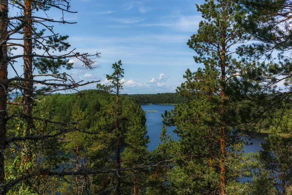 Cichy Las Samotne Drzewa Brzegu Jeziora Saimaa Parku Narodowym Linnansaari — Zdjęcie stockowe