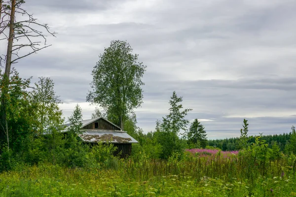Estable Tradicional Madera Nórdica Roja Finlandia Durante Día —  Fotos de Stock