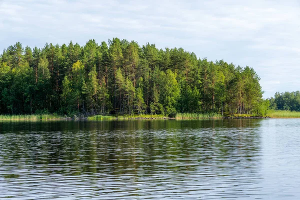 Een Rustige Dag Aan Oevers Van Het Kalme Saimaa Meer — Stockfoto