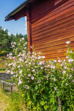 Finlandiya 'da sıcak bir yaz gününde Porvoo' nun renkli kırmızı ahşap depoları 