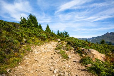 Sonbaharda Lenzerheide yakınlarındaki İsviçre Alplerinde bir dağ yolu. 