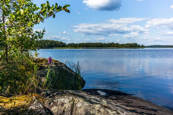 Rotsachtige Oever Van Het Saimaa Meer Het Linnansaari National Park — Stockfoto