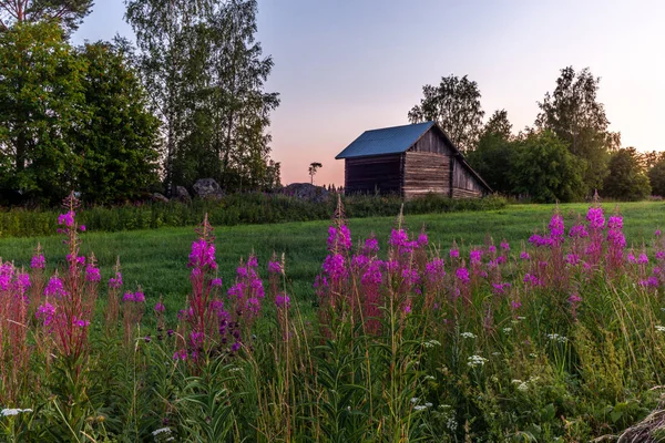 Cobertizo Tradicional Madera Nórdica Roja Finlandia Durante Una Colorida Puesta —  Fotos de Stock