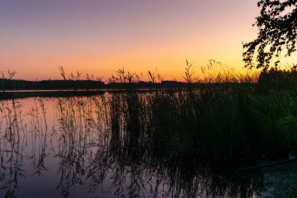 Yazın Gün Batımında Finlandiya Saimaa Gölü Kıyılarında Dalgalar Bastonlar — Stok fotoğraf
