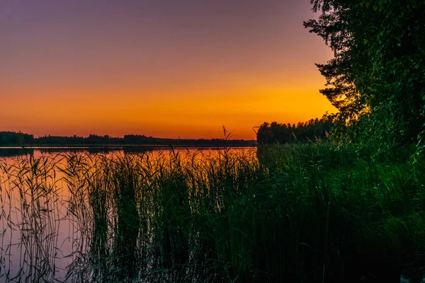 핀란드 호수의해 파도와 지팡이 여름철해 — 스톡 사진