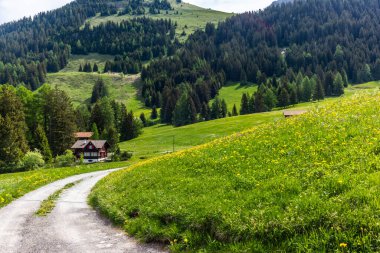 Baharda İsviçre 'de yeşil çimlerle ve renkli çiçeklerle kaplı çayırlardaki eski geleneksel ahşap dağ evi.